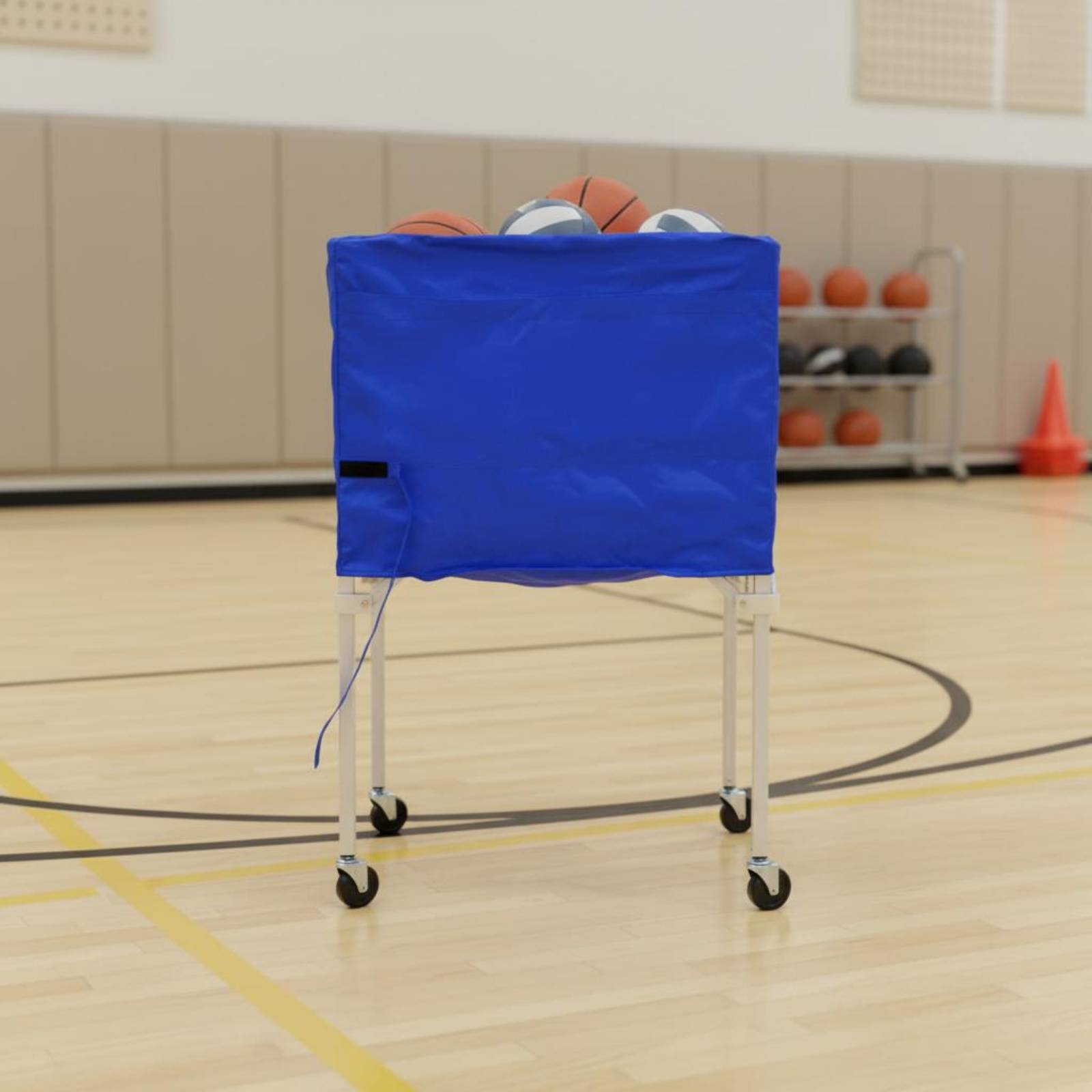 Carrello Pieghevole per Pallon - Gym Ball recensione e prezzo